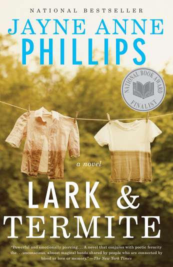 Lark and Termite, by author Jayne Anne Phillips