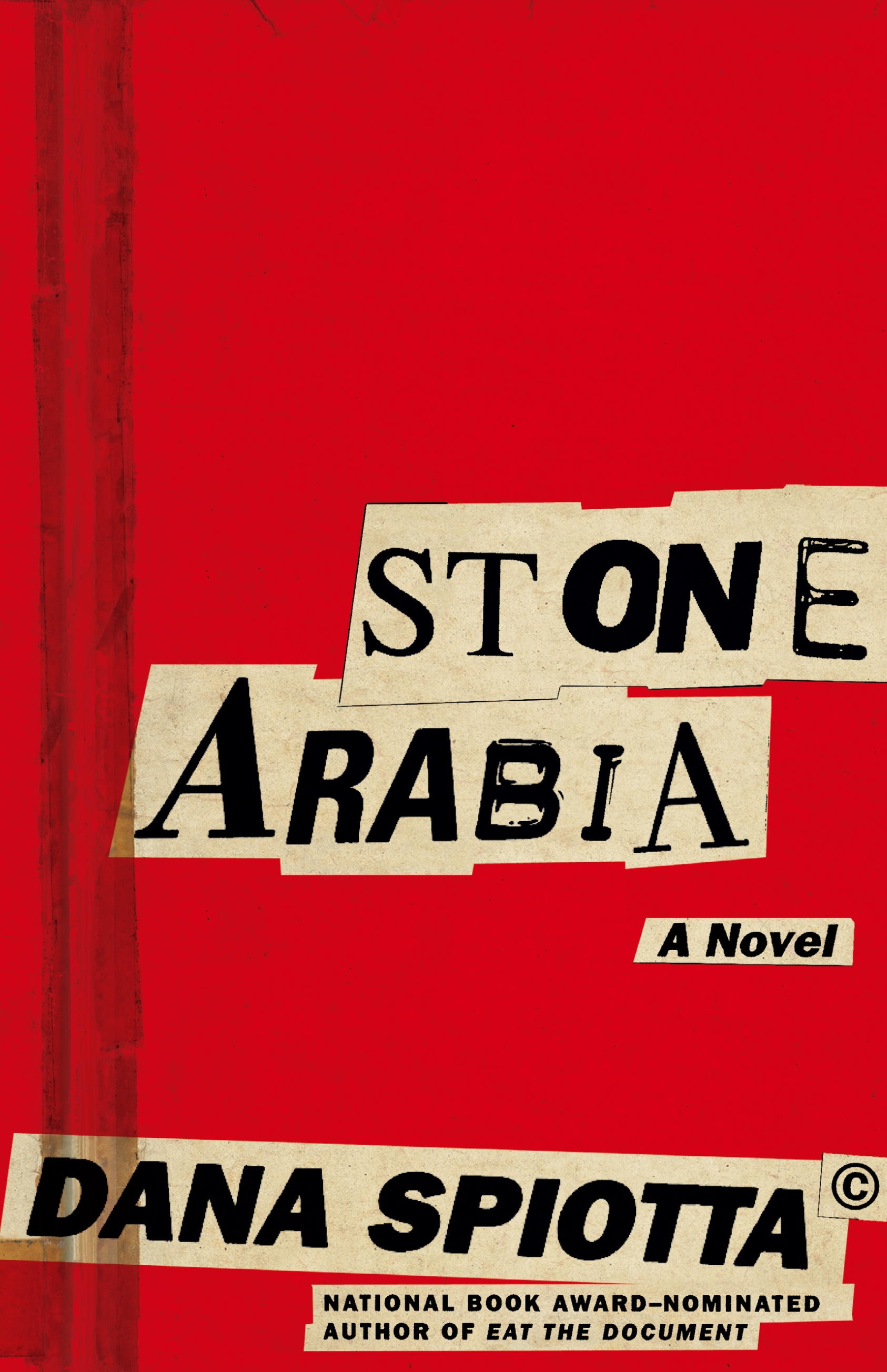 Stone Arabia, by author Dana Spiotta