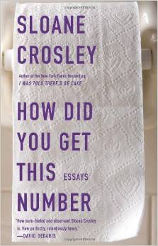 How Did You Get This Number?, by author Sloane Crosley