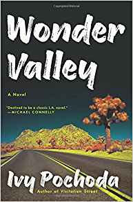 Wonder Valley, by author Ivy Pochoda